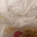 杨阿姨汉堡店加盟：15年品牌故事，成熟模式助您轻松创业成功