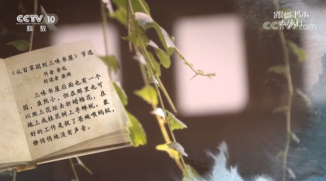 跟着书本去旅行纪录片：轻松解锁文学场景，让知识触手可及的快乐学习之旅