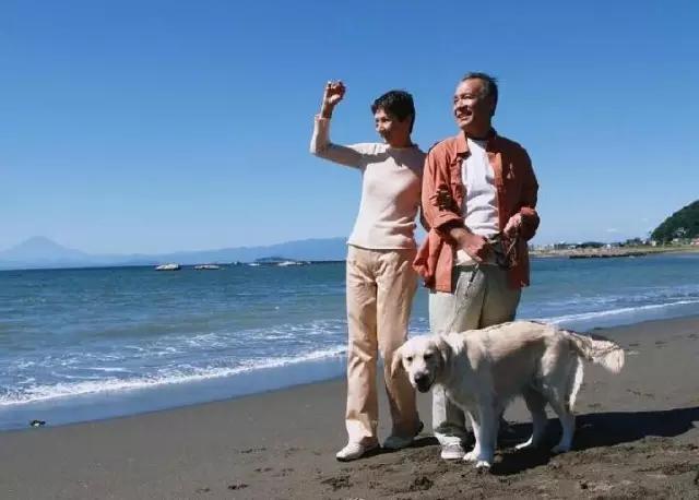 大铃子代父母旅游:让陪伴更安心,让父母更快乐的贴心旅行指南 大铃子代父母旅游:让陪伴更安心,让父母更快乐的贴心旅行指南