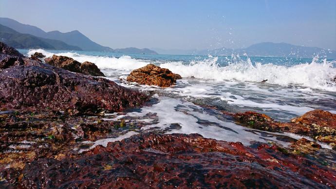 抖音大海去旅行拍摄技巧:海边视频轻松拍出震撼效果,告别平淡画面 抖音大海去旅行拍摄技巧:海边视频轻松拍出震撼效果,告别平淡画面