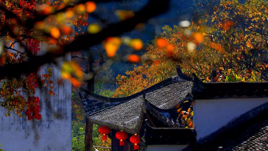 秋儿自驾旅行视频:7天拍出电影感秋色大片,设备构图剪辑全攻略 秋儿自驾旅行视频:7天拍出电影感秋色大片,设备构图剪辑全攻略